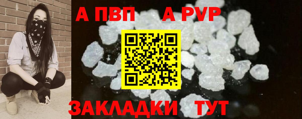 A PVP СК КРИС Светлоград