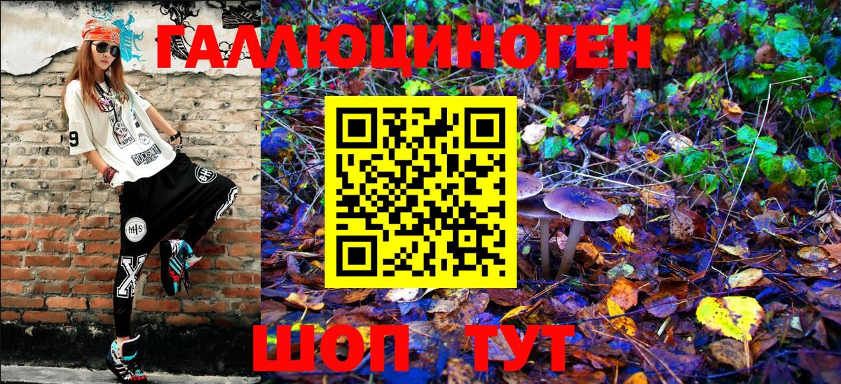 Галлюциногенные грибы Magic Shrooms  как найти наркотики  Светлоград  Вход с VPN  Галлюциногенные грибы MAGIC MUSHROOMS 